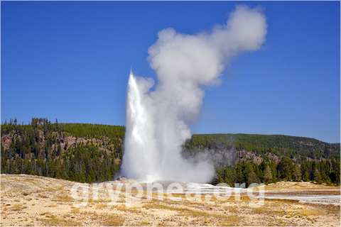 YN_56830 Old Faithful (1)