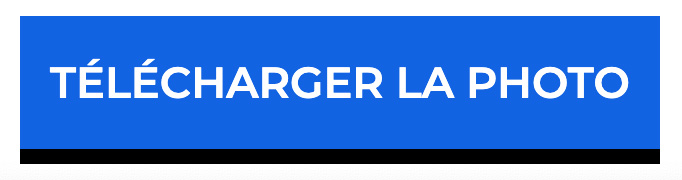 Télécharger la photo
