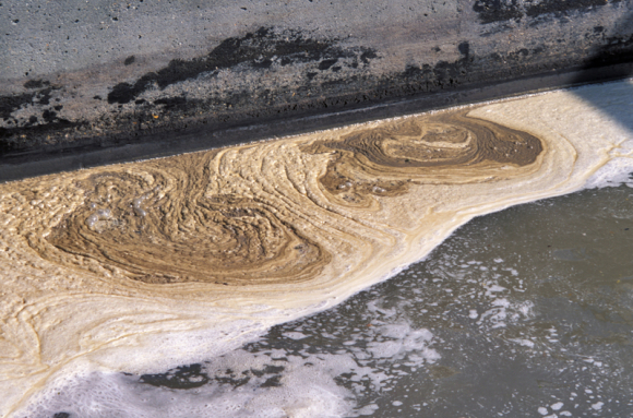 Pollutions de l'eau