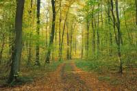 Cycles naturels