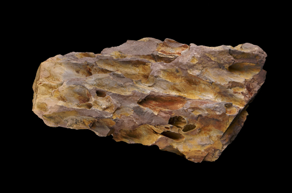 Roches argileuses