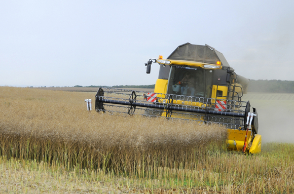 Agrosystèmes