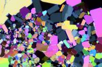 VIDEOS BIOLOGIE NEW