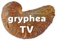 Gryphea TV